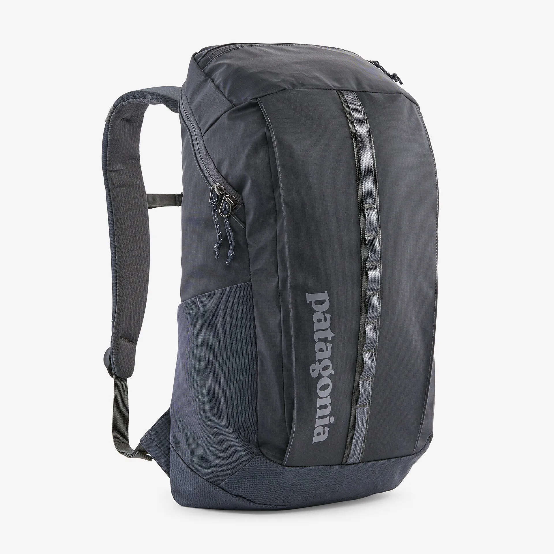 Patagonia Black Hole 25L Pack