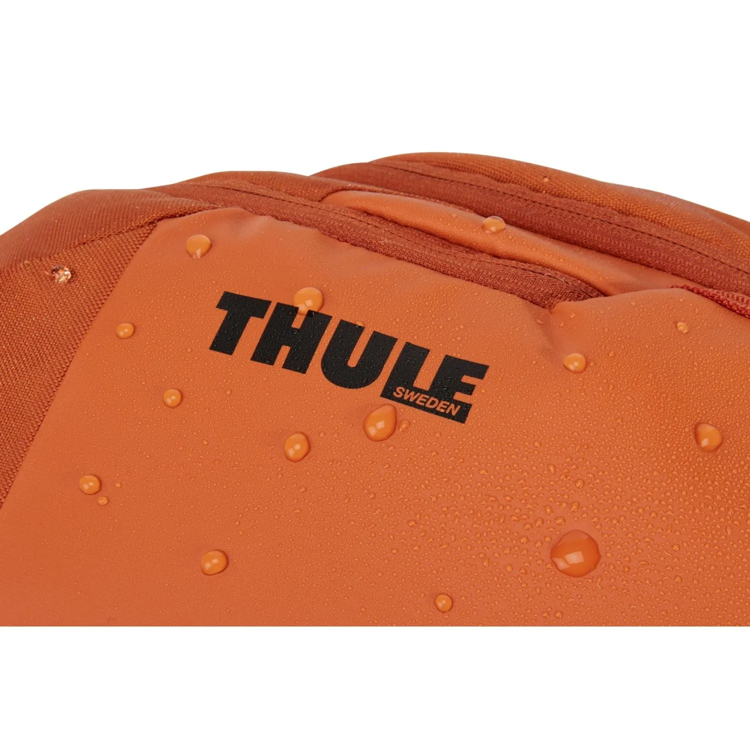 Thule Chasm Backpack 26L (SA)